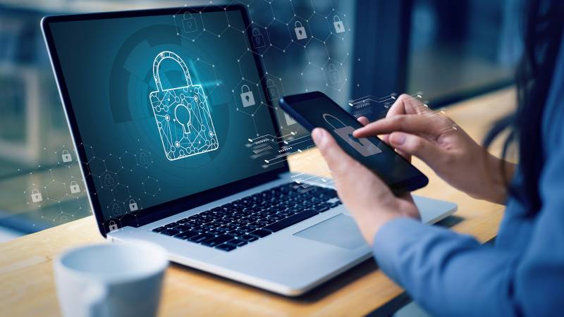 Các thông tin mà website đang thu thập