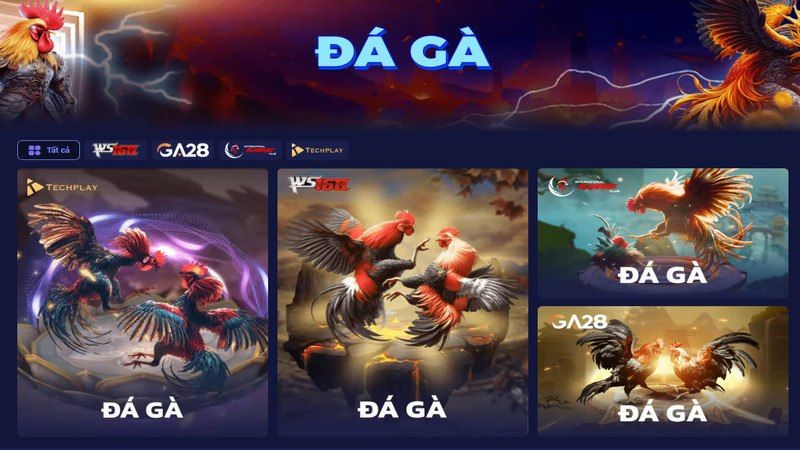 Đắm mình trong các trường gà trực tuyến đẳng cấp